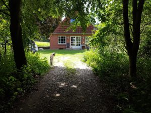 Aussenansicht-mit-kurzer-Allee-und-Windspiel