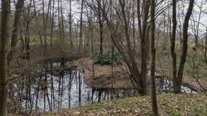 kleiner-Teich-auf-dem-Grundstueck